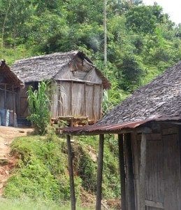 Une maison construite à partir de feuilles de Ravinala sec