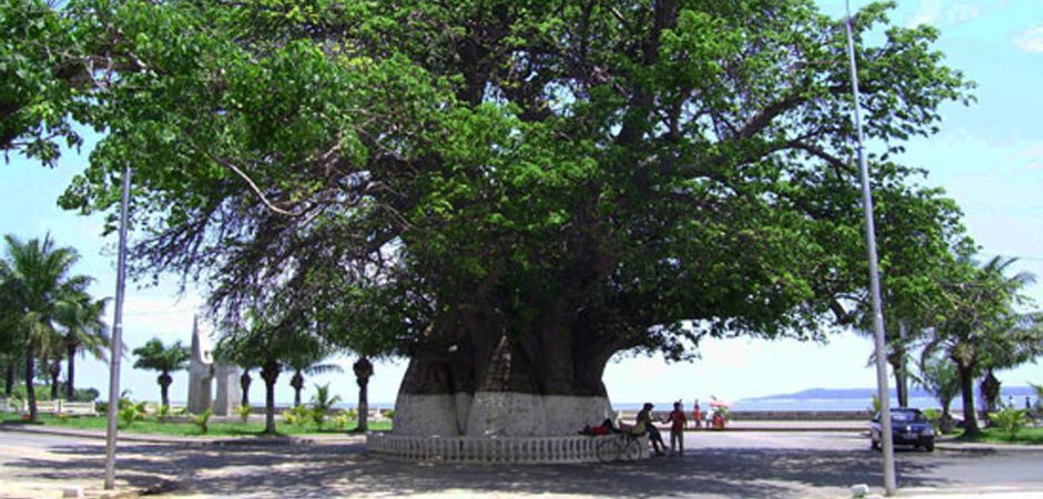 Majunga pays du Boina - Madagascar Island