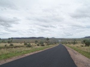 Savane dans le Sud