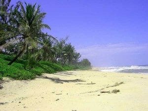 Les belles plages du pays Mahafaly