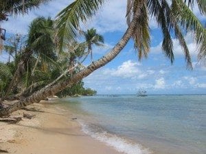 Plage de l'Ile Sainte - Marie