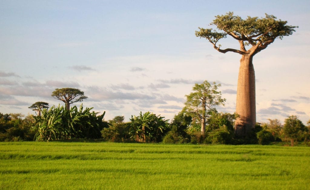 Tourisme à Madagascar